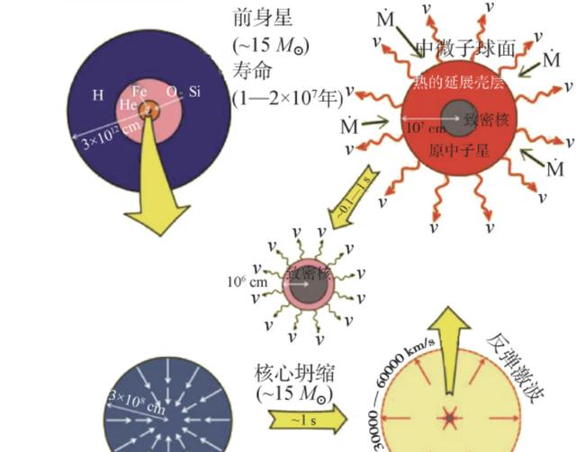 中子星到底有多可怕?一立方厘米重20亿吨,人掉到中子星上会怎样