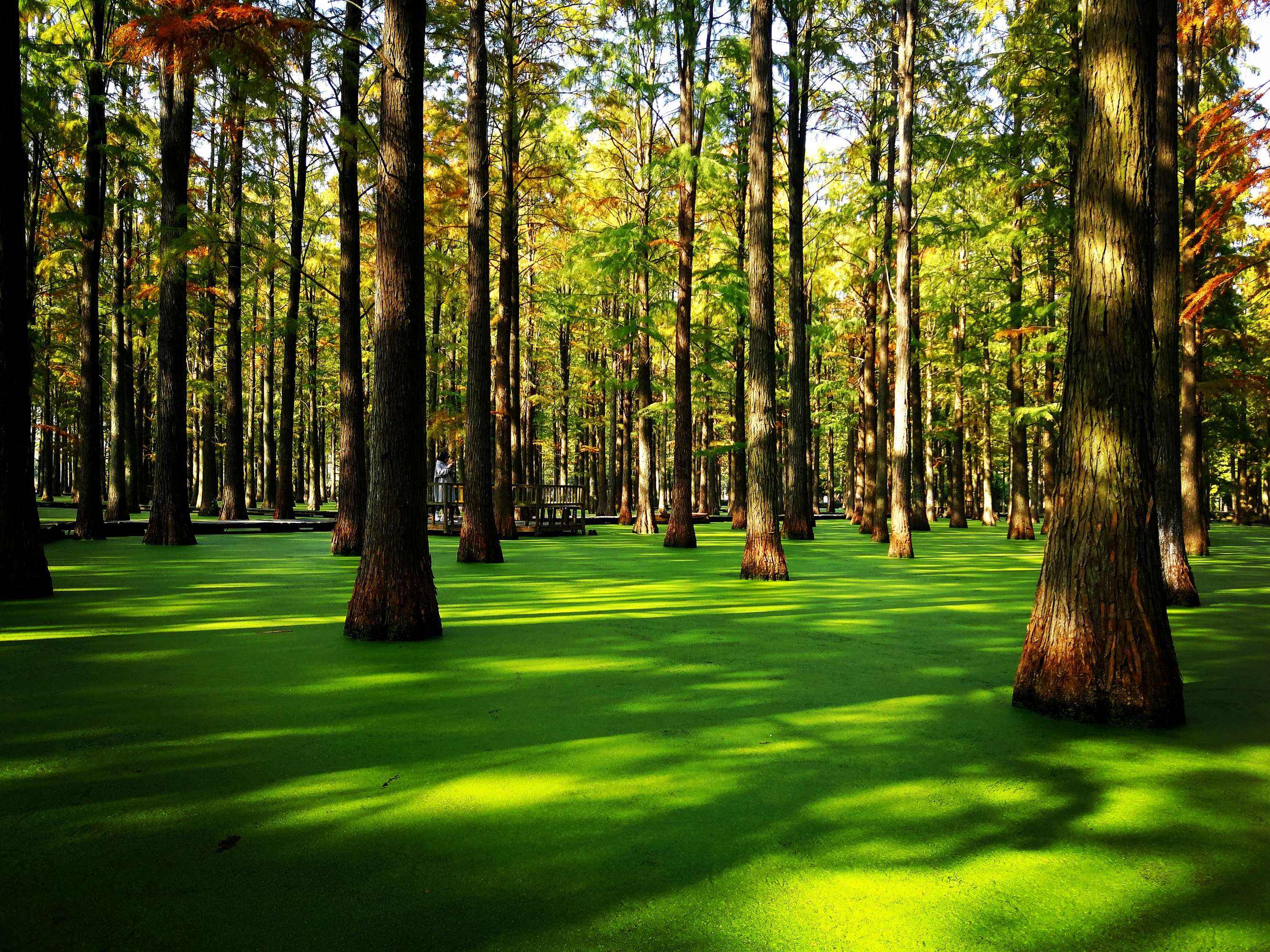 云南|网络热门旅游景点，你去看过几个？