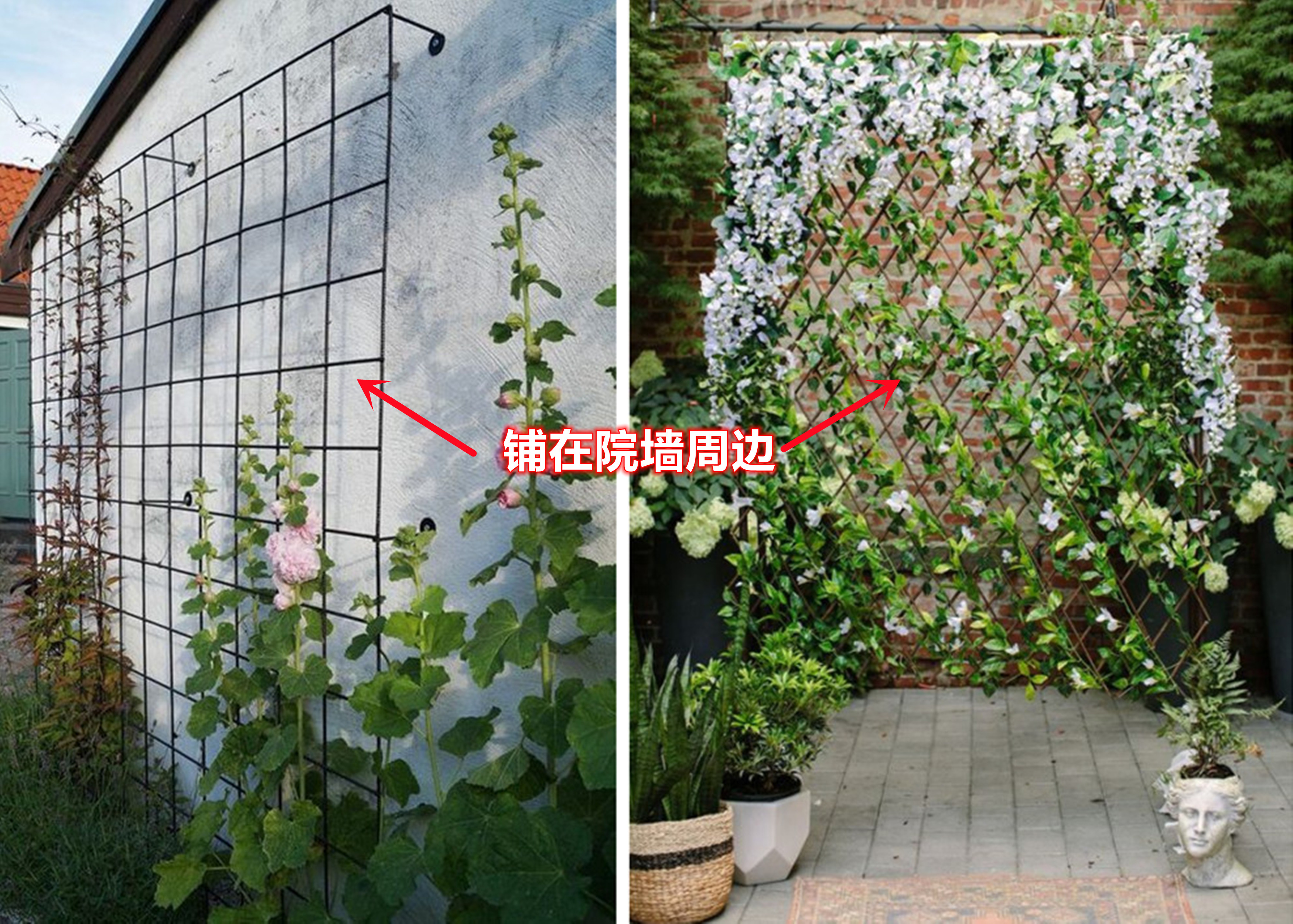 只需一张金属网,阳台从墙面装到天花板,没有院子照样“花团锦簇”