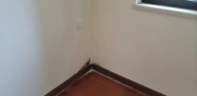 恒大|恒大竟然交付了?!