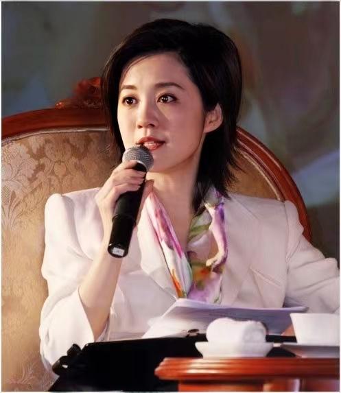 许戈辉|丁健:二婚娶美女主播许戈辉备受争议,在流言蜚语中稳稳地幸福