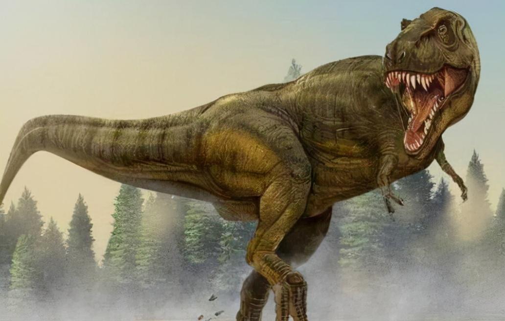 求职|“那个不要工资的95后，我不敢录用”：别卷了，再卷人都卷没了