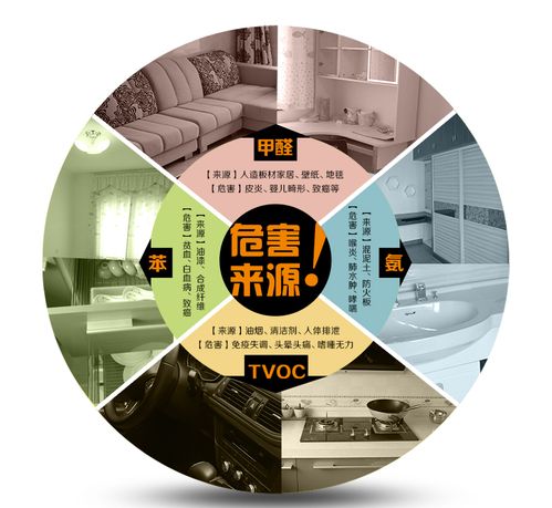 快速除甲醛,不传之秘,建议收藏!