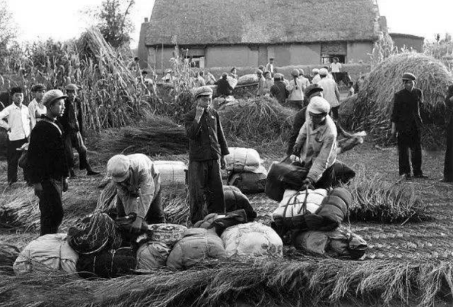 张艺谋|张艺谋：支持女儿离婚，回来吧爸养你，不能让女儿受委屈