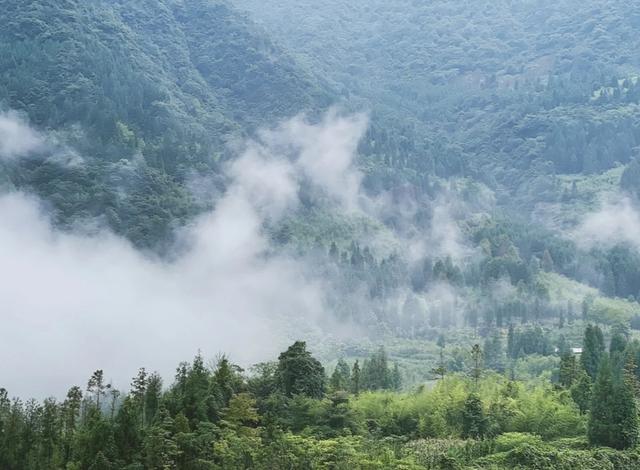 大理|四川很小的一座城市，夏天是避暑的仙境，人少安静，距成都并不远