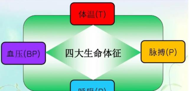 第一个进入太空的狗,升空前就知回不来,死亡真相被隐瞒45年