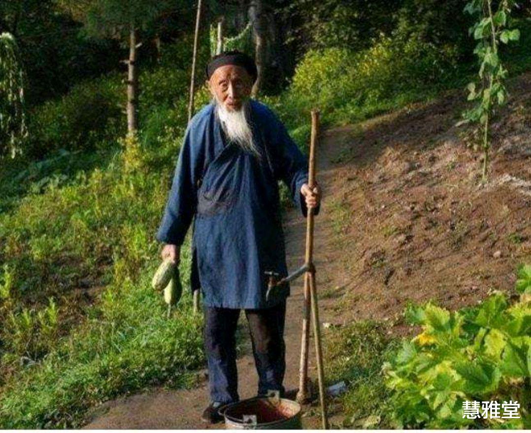 苍耳子|大师张至顺，活到104岁，养生功法主要有4招，或许人人可学可会