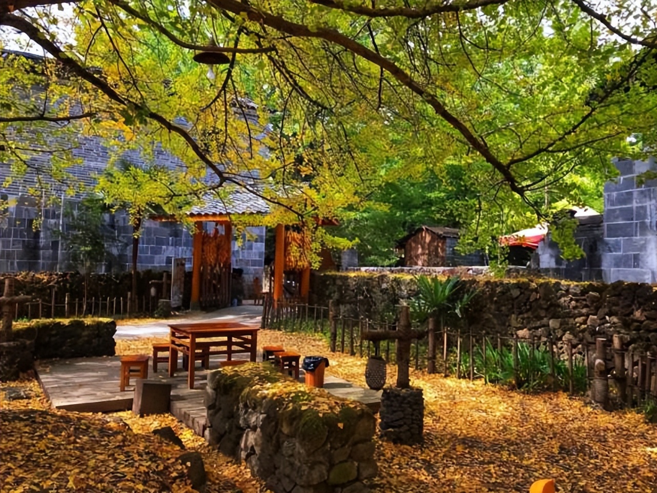 |一叶知秋，最好的赏秋去处，莫过于一座小院