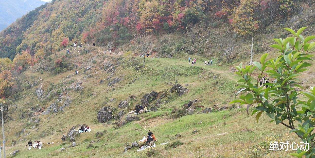 |陕西汉中西乡县湾对坡，一个网红打卡点，红叶满山坡，人满为患