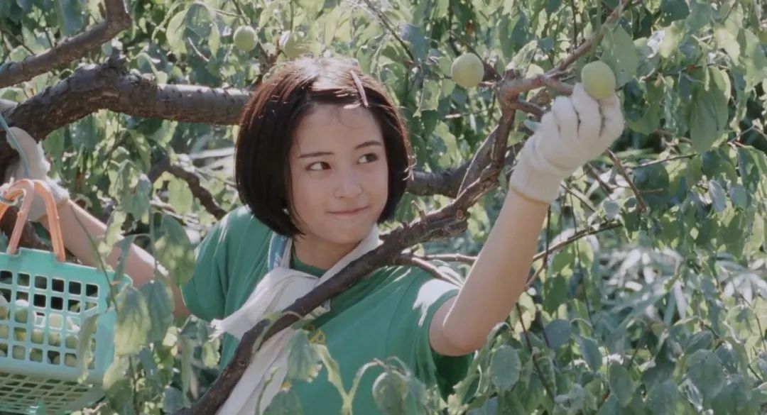 新垣结衣|日本传说中的20大美少女，新垣结衣、桥本环奈入选