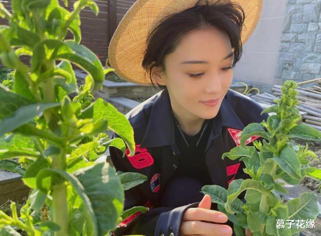 赵雅芝|发现张馨予的生活太精致,院子里栽满的不光有花果蔬菜,还有幸福