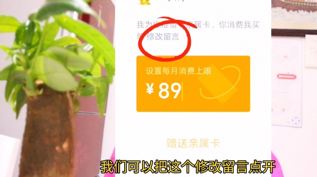 美团|微信未绑银行卡没有零钱，照样也能微信支付！特别适合老人和孩子