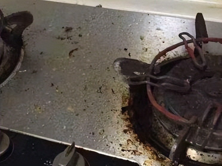 这些厨房小物, 一个比一个厉害, 让下厨轻松好打理，老婆赞不绝口