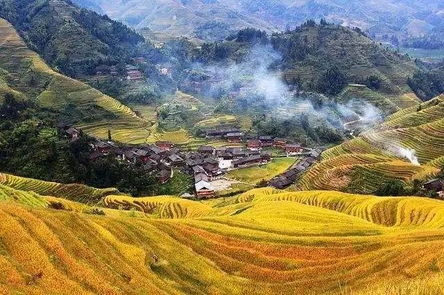 三亚|秋冬最值得去的赏秋地，11、12月沿途美成天堂，错过等一年！
