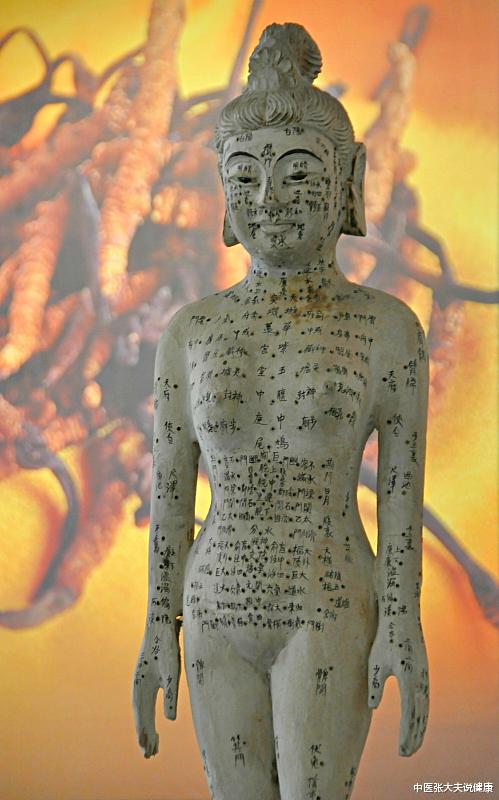 经络|「医考」考点:中医经络学说常考点(三)