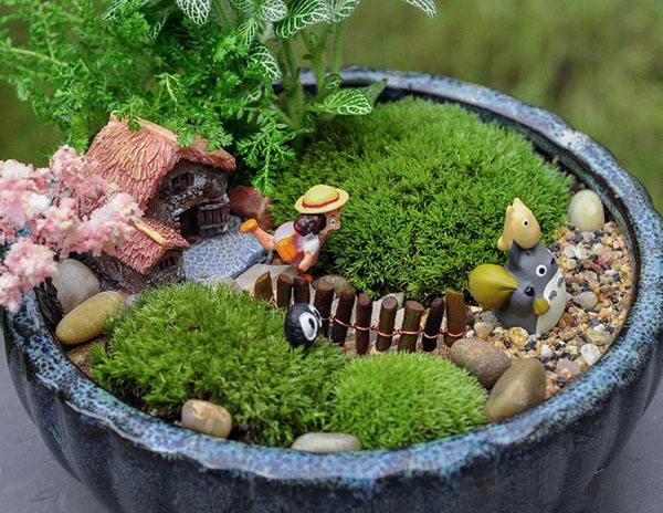 办公室|在家里或办公室自己打造个微景观有不一样的意境