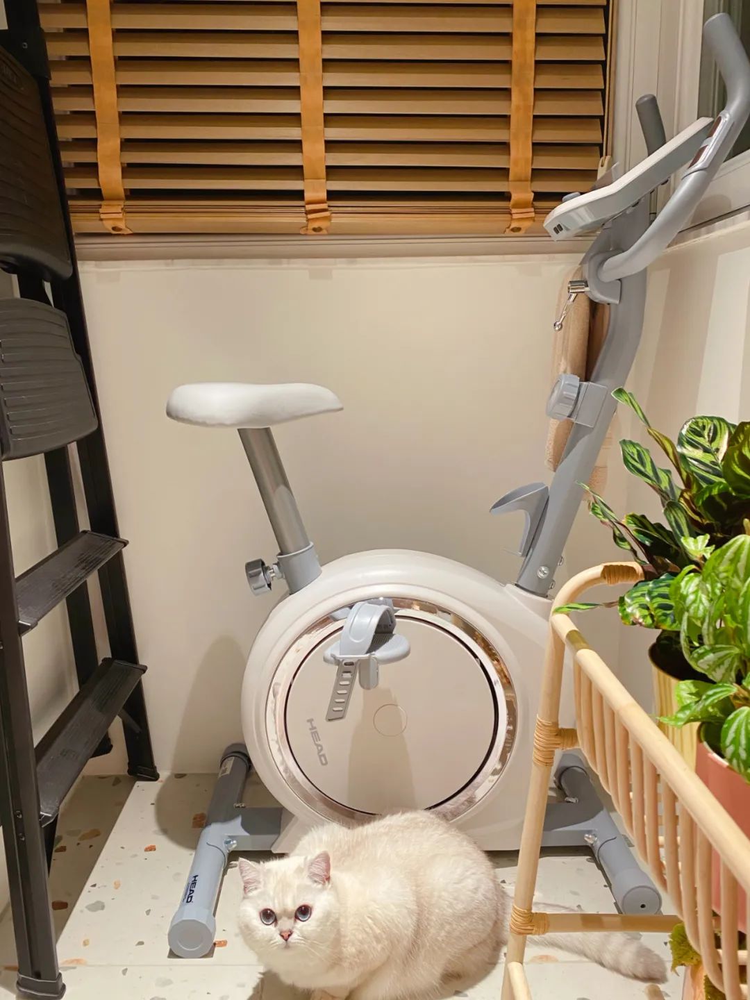 独居第13年:她买下59㎡老破小,打造成完美一人居