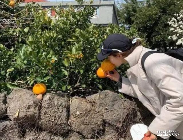 韩智慧|韩智慧婚后的家公开,衣帽间小又乱,妈妈花30万买鱼给女儿补身