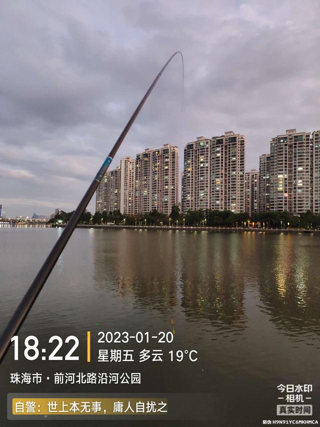 鳊鱼|堪称酣畅淋漓!好钓位真不是虚的