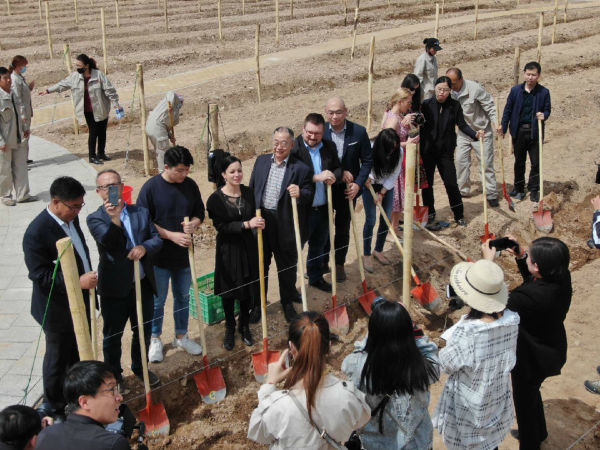 梁朝伟|赵薇4000万买外国酒庄，卖回国980元一瓶，结果被煤老板狠狠打脸