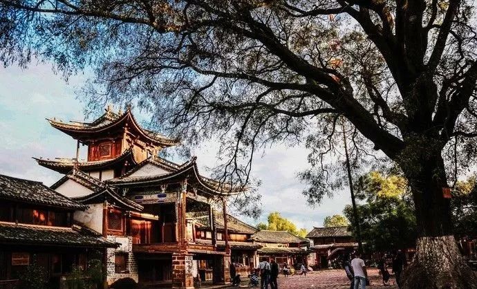 温榆河|这才是冬天最值得去的旅行地,错过等一年