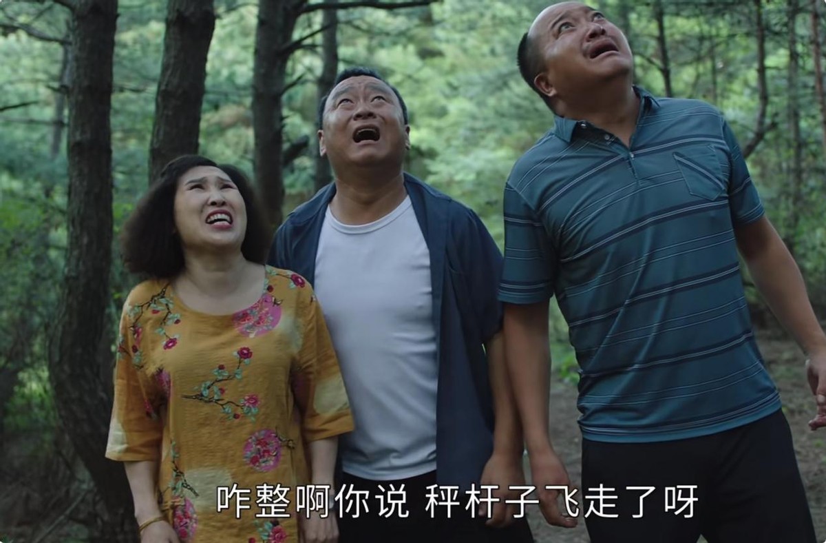 《刘老根5》播6集,有一大批人想弃了,理由让人无力反驳_影视资讯_娱乐