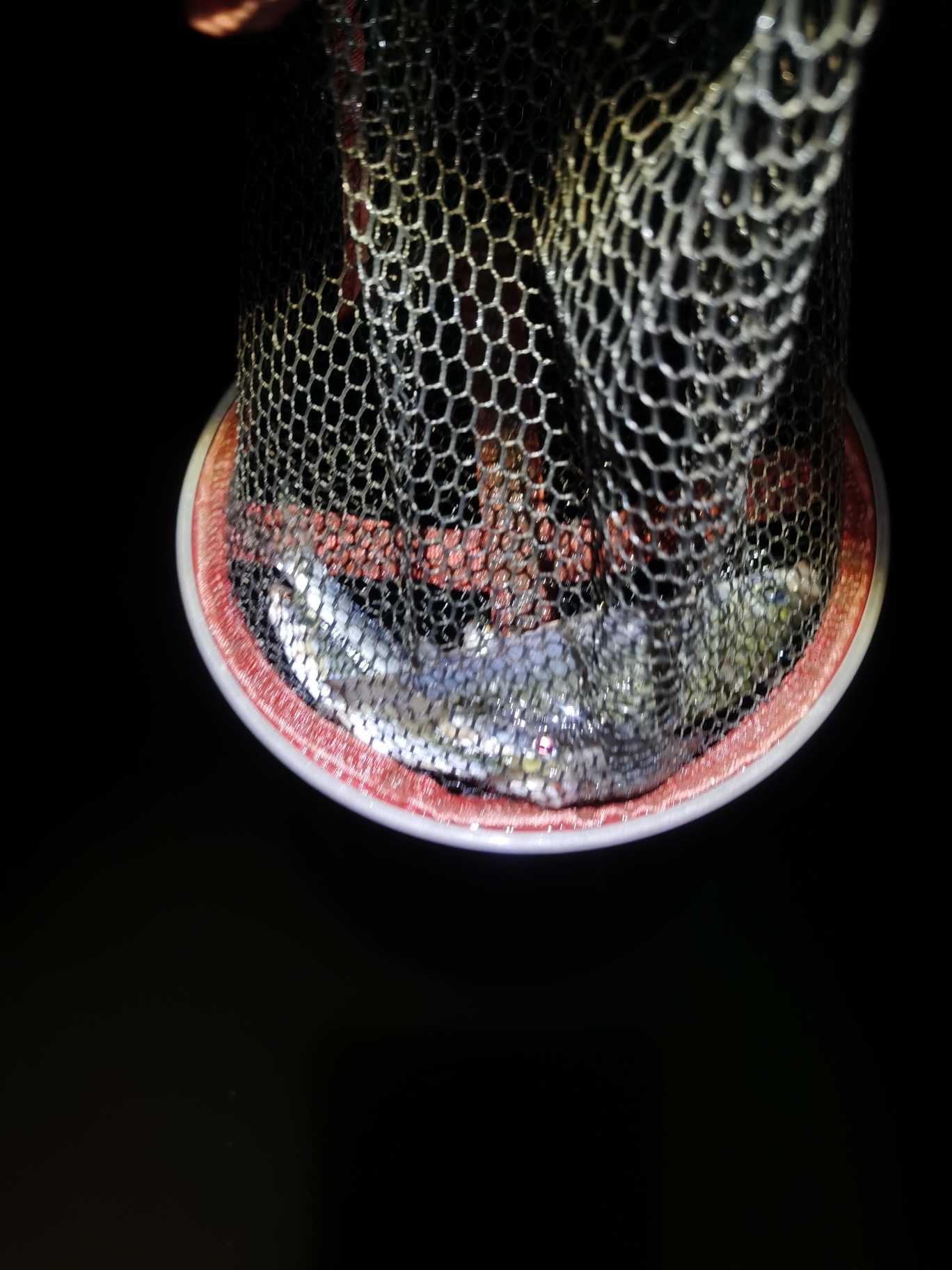 |很久没出去钓鱼,赶上一个好天气直接出发钓鱼