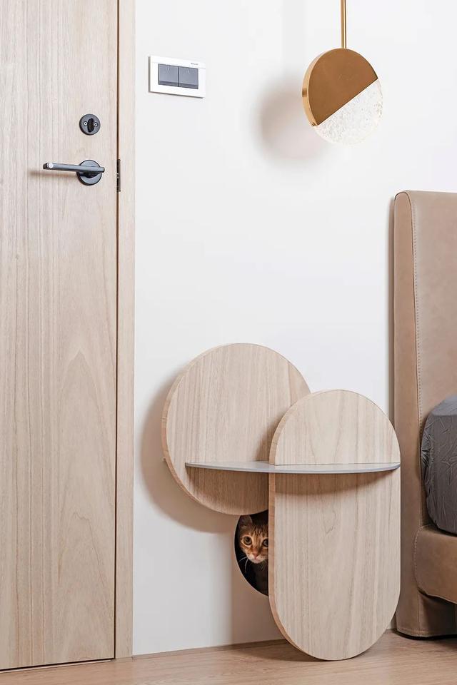 35岁女主晒86㎡独居小家,与猫为伴,生活治愈又温馨,令人羡慕