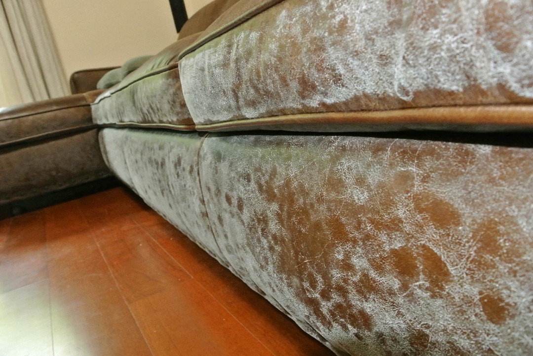 若再装修,客厅坚持“6不装”,能省钱还美观,难怪很多人效仿