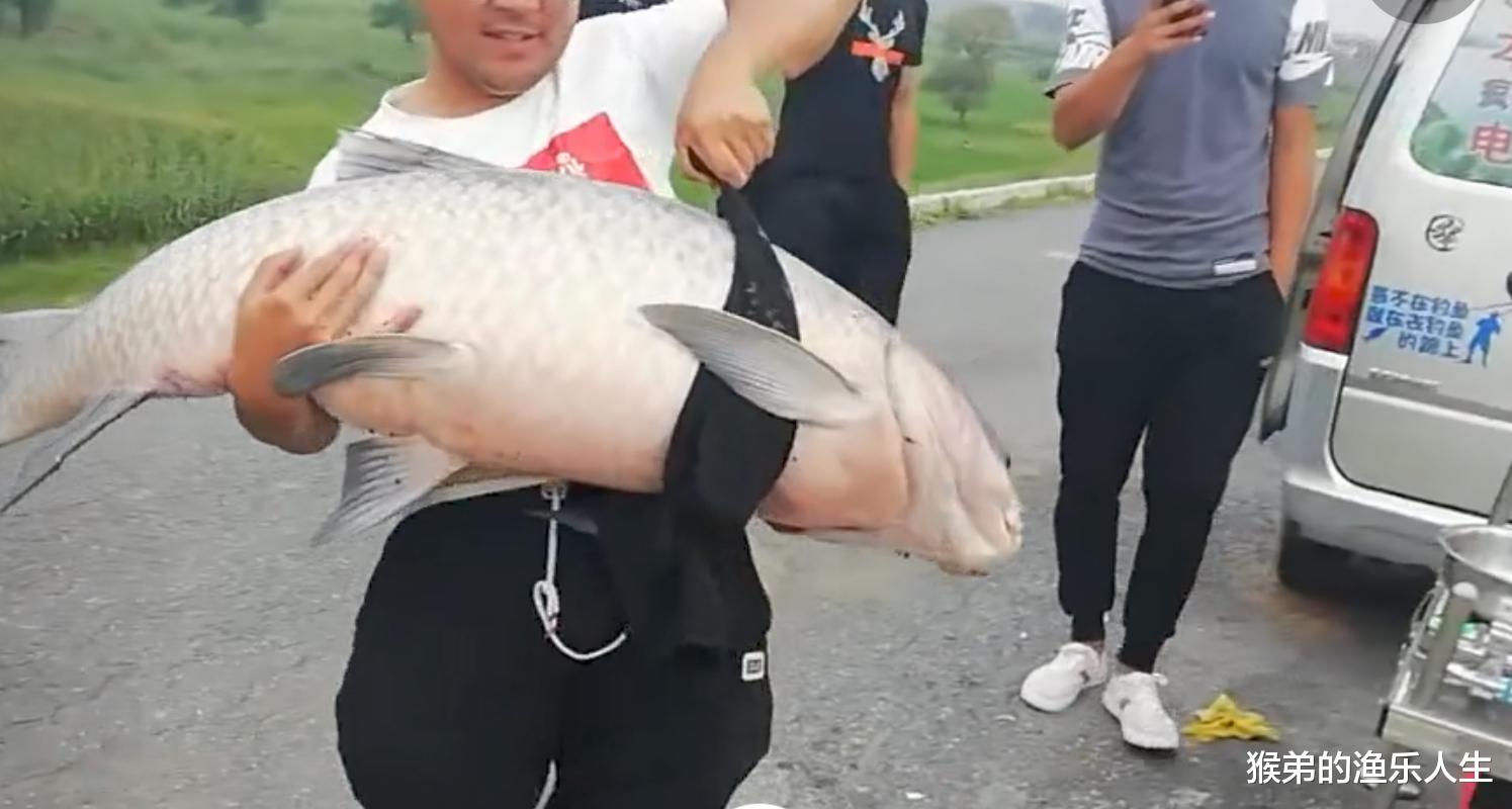 辽宁省|辽宁钓友水库钓到巨青，有人当场出7000，钓鱼也能发家致富吗？