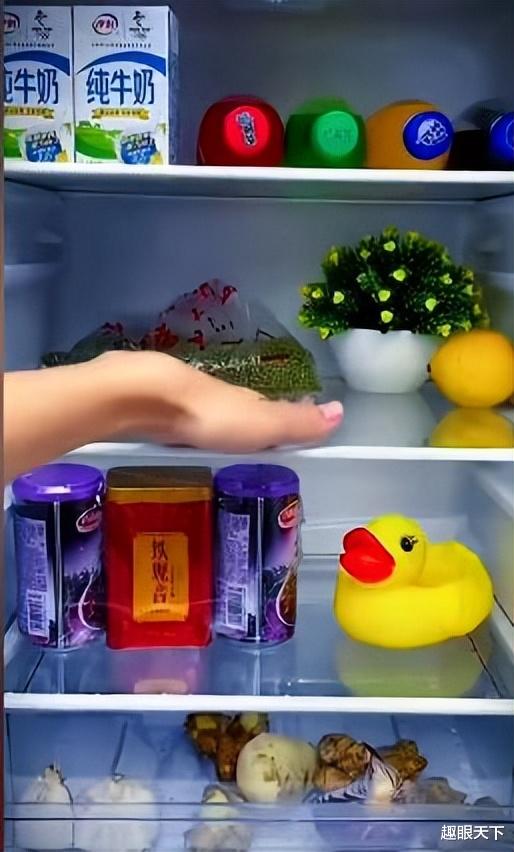 汽车|冰箱冷藏室排水孔堵塞怎么疏通？只需要一根旧电线，1分钟搞定