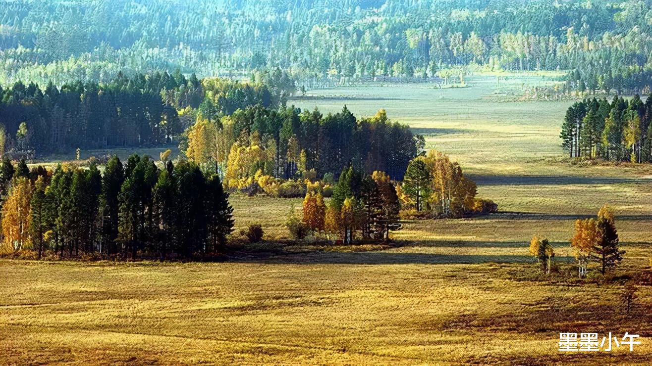 天下霸唱|鬼吹灯作者：从“没文化”到拥有“亿万读者”，他都经历了什么？