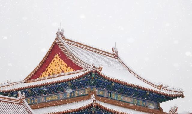 银装素裹分外妖娆，送你6个雪景摄影技巧，留住雪后惬意时光