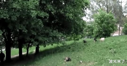 苹果|15个“火遍全球”的中国商品，你用过哪个呢？