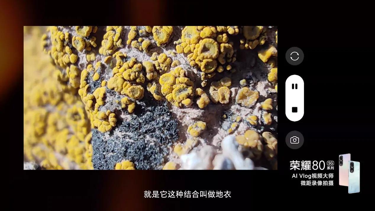 ai|手机影像的未来在哪?荣耀80系列用全新AI Vlog赛道作答