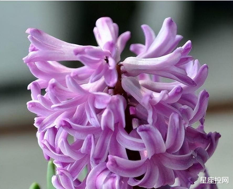 郑东新区|啥月份出生的人,职场之路一帆风顺,好事喜欢找上门来