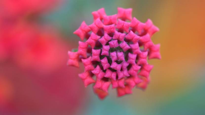 山药|午后困倦是什么原因造成的?