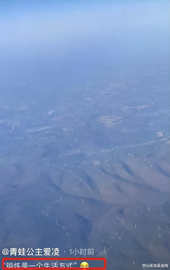 谷爱凌|谷爱凌的成功绝非偶然，背后大佬曝光，米国的网友们酸不起来了