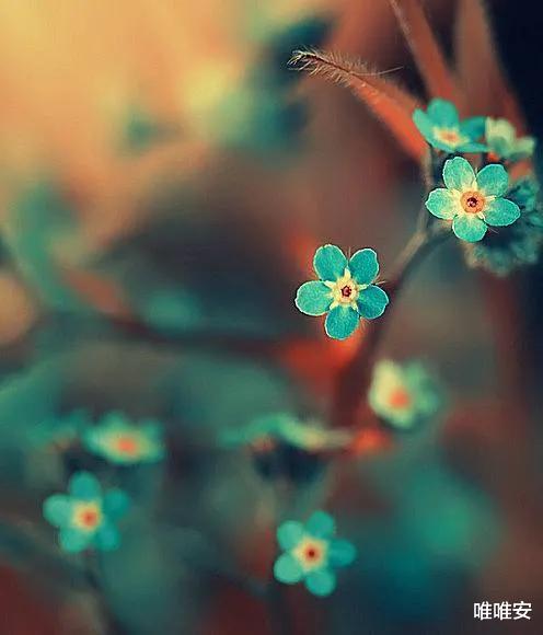 求职|我27岁，娃1岁，父母失业：帮父母找工作发现，太多中年人在求职的路上