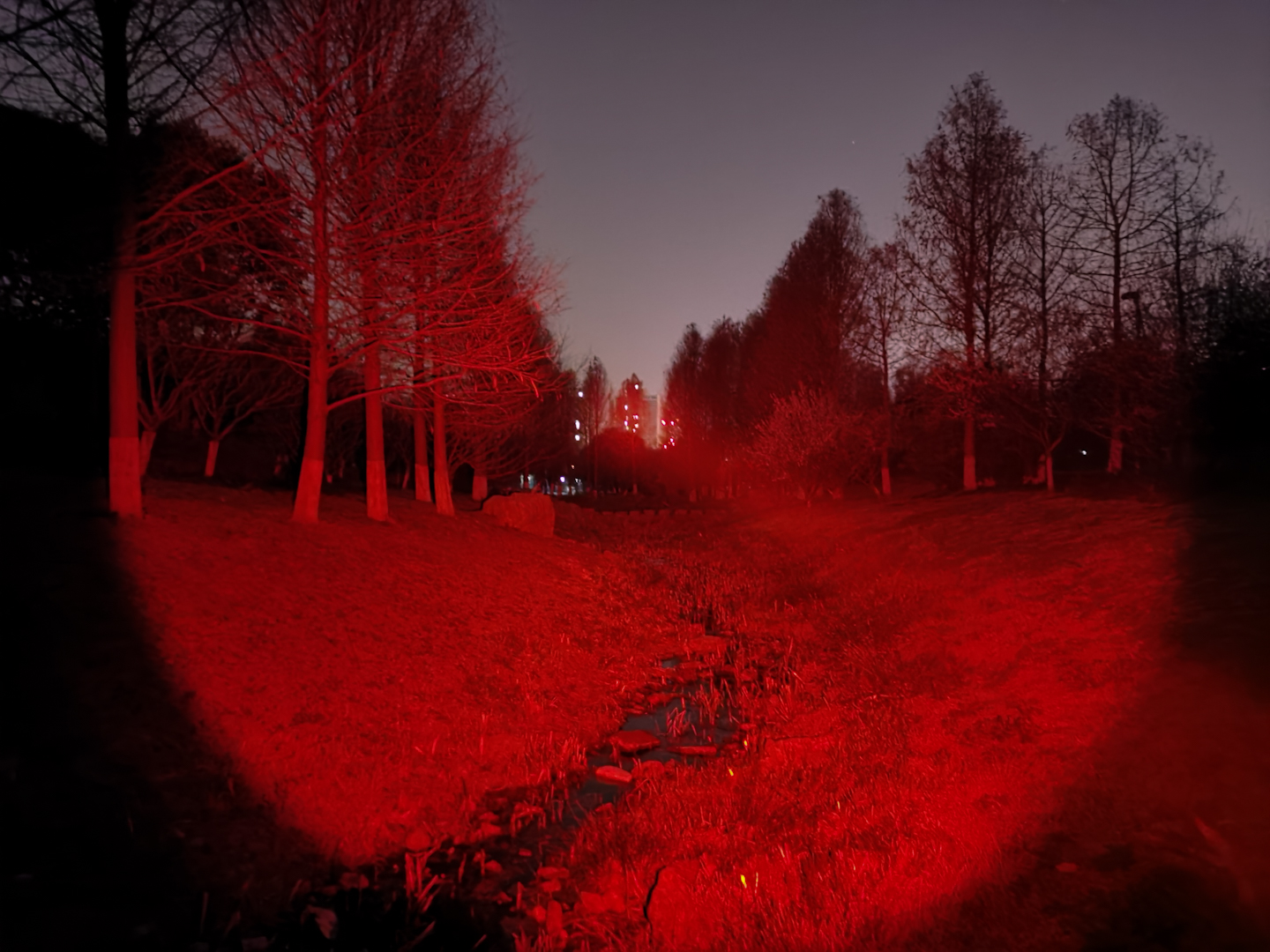 滤镜|红白绿三色变光狩猎手电CYANSKY H5