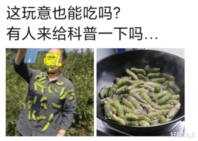 |“这玩意也能吃吗？有谁来给科普一下...”哈哈哈艺高人胆大