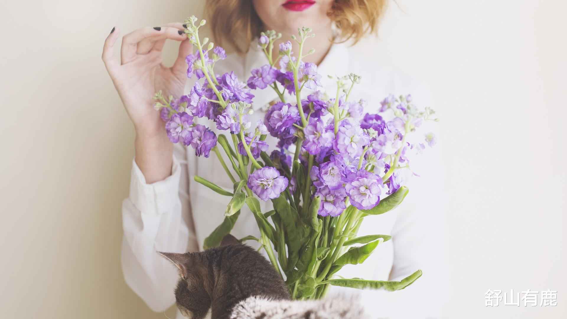 饵料|其实，一个人的后半生是否“命苦”，关键要看55岁那年的表现