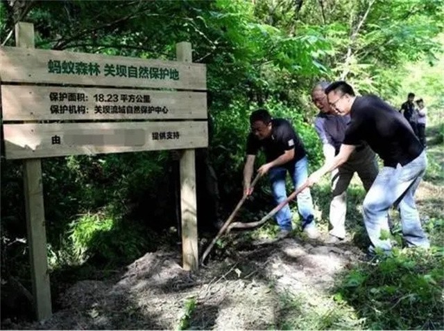网络安全法|马云斥巨资在沙漠里种的树，如今成啥样了？
