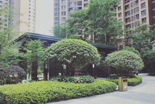 四川一男子杀妻后跳楼,现场人山人海,案发原因存在两个骇人说法