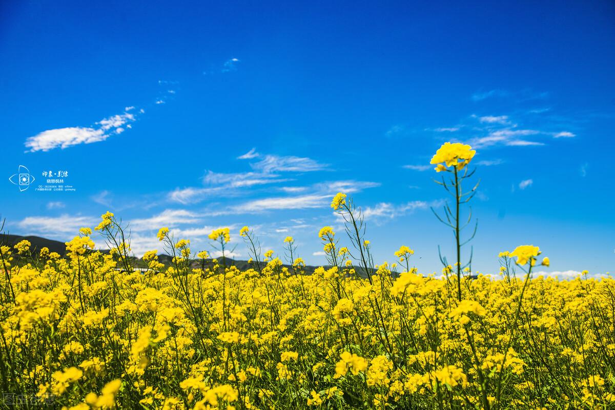 |毛姆《人性的枷锁》,到底要摆脱多少枷锁才能轻装上阵?(下)