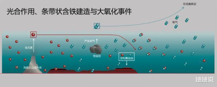 倘若地球氧气增加1倍,对地球有什么影响?人们将骑着大蝴蝶逛街