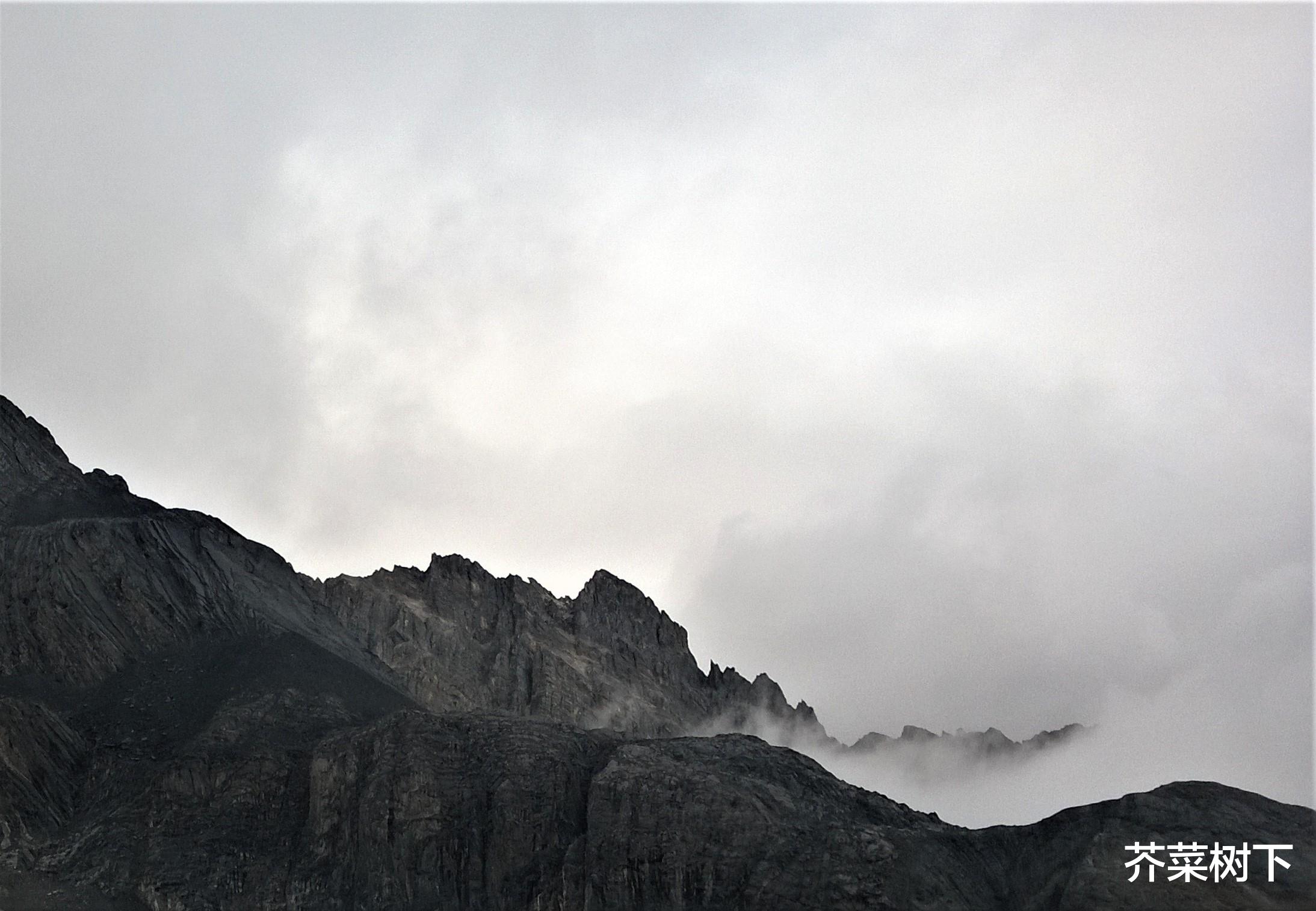 |职场真利他,必然能利己