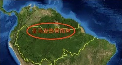 地球上生物多样性最多的区域在哪?有何可怕之处?