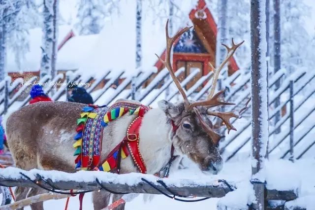 签证|全球最有魅力的6大冬季旅行地 滑雪、泡温泉、看极光，一个都不少