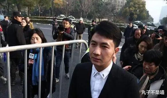 林生斌|继好男人形象塌方后，林生斌三家公司被注销，宋祖德提供细节内幕